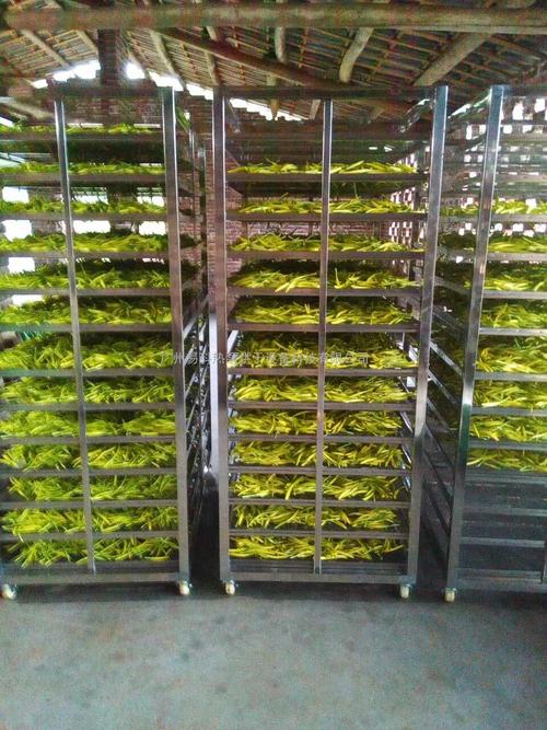 黃花菜烘干機、黃花菜烘干設(shè)備、黃花菜干燥機、黃花菜干燥設(shè)備、